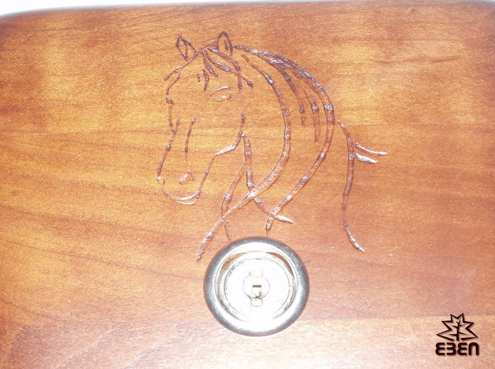 Rytina - koně :: Eben.cz