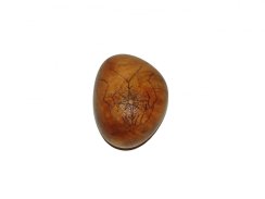 Magický dřevěný valoun nabitý Božím světlem - jilm